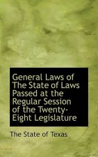 General Laws of the State of Laws Passed at the Regular Session of the Twenty-Eight Legislature