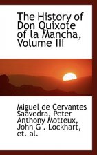 History of Don Quixote of La Mancha, Volume III