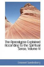 Apocalypse Explained According to the Spiritual Sense, Volume VI