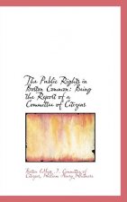 Public Rights in Boston Common