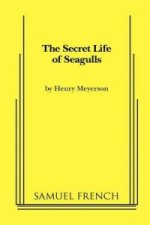 Secret Life of Seagulls