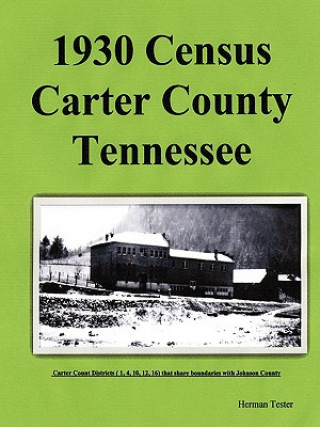 1930 Census Carter County Tennessee