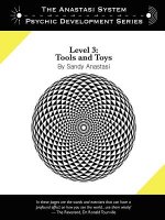 Anastasi System - Psychic Development Level 3: Tools and Toys