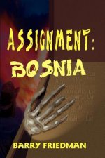 Assignment: Bosnia