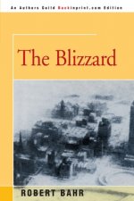 Blizzard
