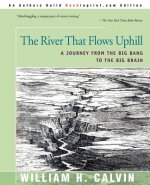 River That Flows Uphill