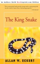 King Snake