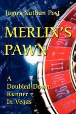 Merlin's Pawn
