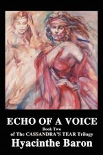 Echo of a Voice