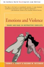 Emotions and Violence