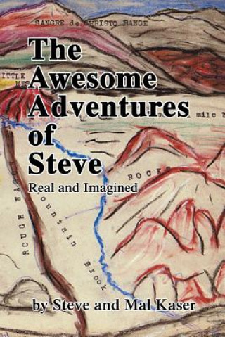 Awesome Adventures of Steve