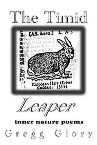 Timid Leaper