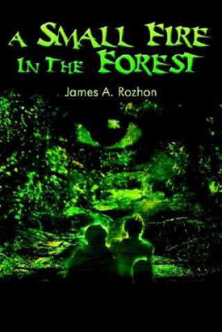 Small Fire in the Forest