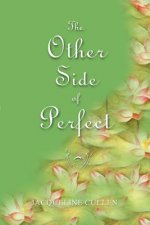 Other Side of Perfect