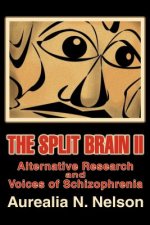 Split Brain II