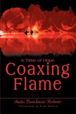 Coaxing Flame