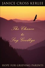 Chance to Say Goodbye