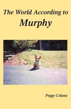 World According to Murphy