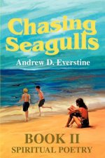 Chasing Seagulls