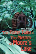 Foster Twins In The Mystery At Moore's Lake