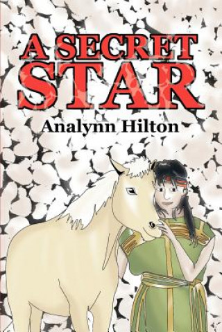 Secret Star