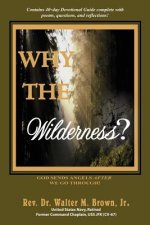 Why the Wilderness?