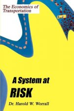 System at Risk