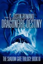 Dragonfire Destiny