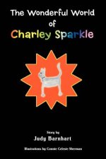 Wonderful World of Charley Sparkle