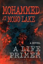 Mohammed at Mono Lake