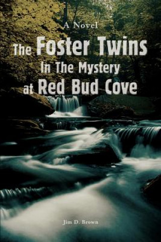 Foster Twins In The Mystery at Red Bud Cove