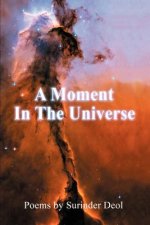Moment In The Universe