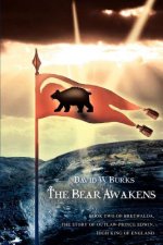 Bear Awakens