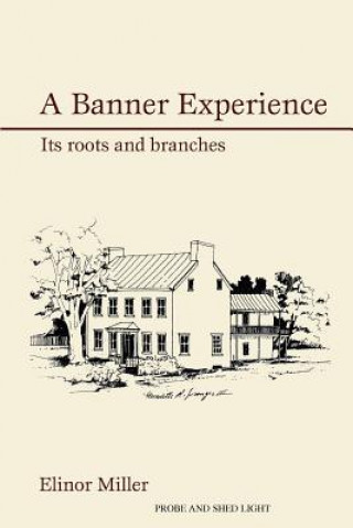 Banner Experience