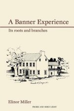 Banner Experience