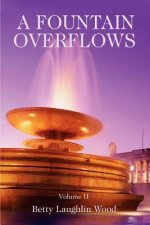 Fountain Overflows