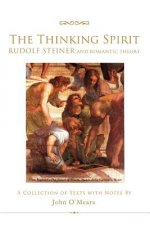 Thinking Spirit