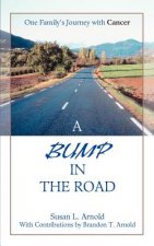 Bump in the Road