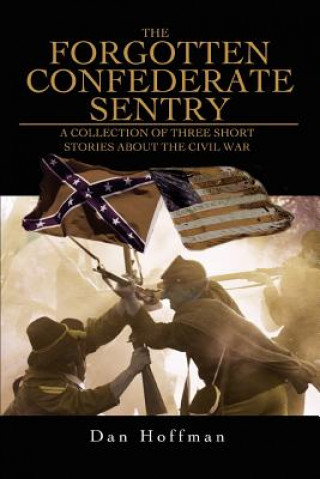 Forgotten Confederate Sentry