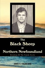 Black Sheep Of Northern Newfoundland