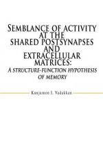 Semblance of activity at the shared postsynapses and extracellular matrices