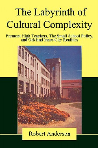 Labyrinth of Cultural Complexity