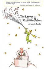 Lawyer and the Little Prince