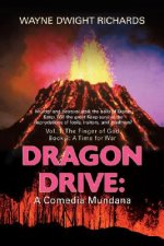 Dragon Drive