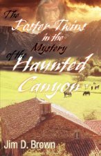 Foster Twins in the Mystery of the Haunted Canyon