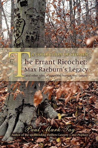 Errant Ricochet