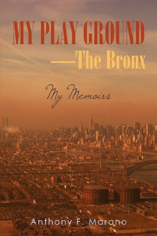 My Play Ground-The Bronx