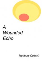 Wounded Echo