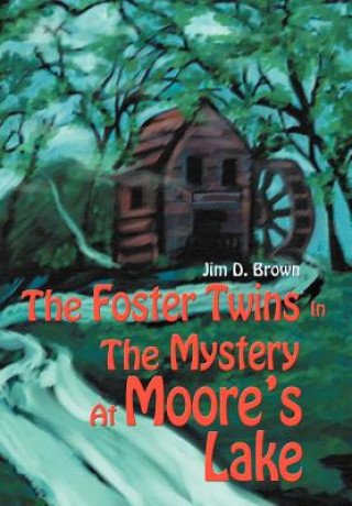 Foster Twins In The Mystery At Moore's Lake