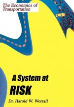 System at Risk